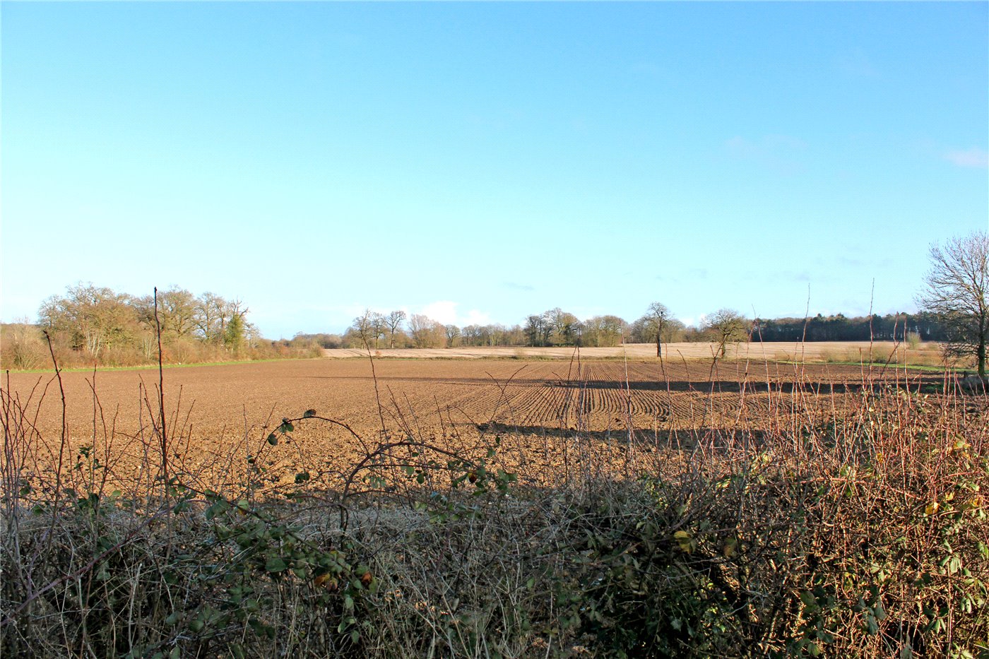 Nearby Views